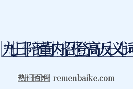 九日陪董内召登高反义词是什么意思的图片
